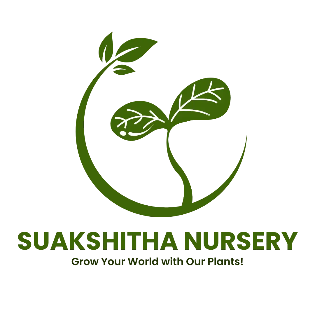 Client logo 12